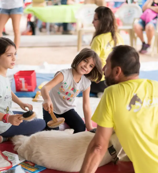 Fundación Acavall de Valencia: Mejora de la calidad de vida de personas con diversidad funcional, mediante la Intervención asistida con animales.