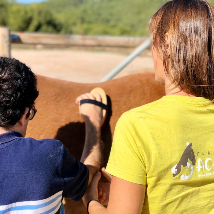 Fundación Acavall de Valencia: Mejora de la calidad de vida de personas con diversidad funcional, mediante la Intervención asistida con animales.