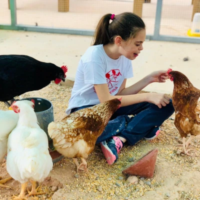 Actividades de ocio urbanas (sin animales) que buscan promover la inclusión y las oportunidades de participación en la comunidad, adaptadas a los intereses de los participantes y a sus necesidades de apoyo.