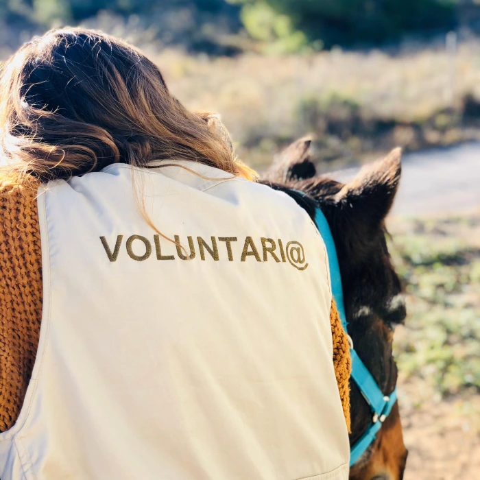 El voluntariado en la Fundación Acavall es una experiencia enriquecedora y significativa, donde individuos comprometidos tienen la oportunidad de contribuir de manera directa al bienestar de personas con diversidad funcional y en situación de vulnerabilidad. La fundación es posible gracias al espíritu altruista de quienes dedican su tiempo y energía par construir puentes de conexión entre humanos y animales.